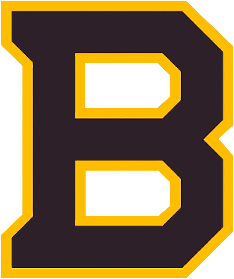 Boston Bruins 2019 Special Event Logo t shirts DIY iron ons